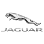 Jaguar_300